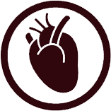 Картинка с изображением сердца